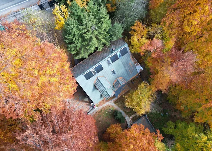 Pensiunea LacPensiune